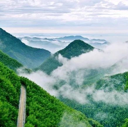 杭州1.5h直达避世度假地！不用去景区人挤人，私享山野云海万亩茶园，这里藏着江南最美春天！