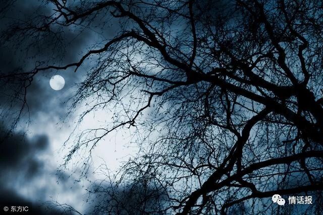 民间奇闻:柳镇阴阳医