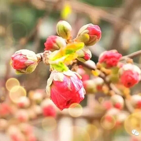 你见过凌晨四点的佛罗里达吗 热点讯息网