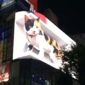 喵星人出动！日本街头惊现一只巨型动感3D猫…