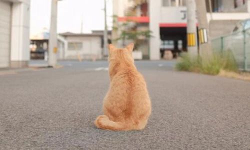 广州市贸易职业高级中学2024招生简章