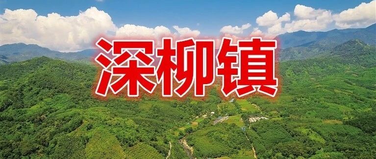 深柳镇小伙为家乡拍的视频唱的歌火了!整个安乡都在看!