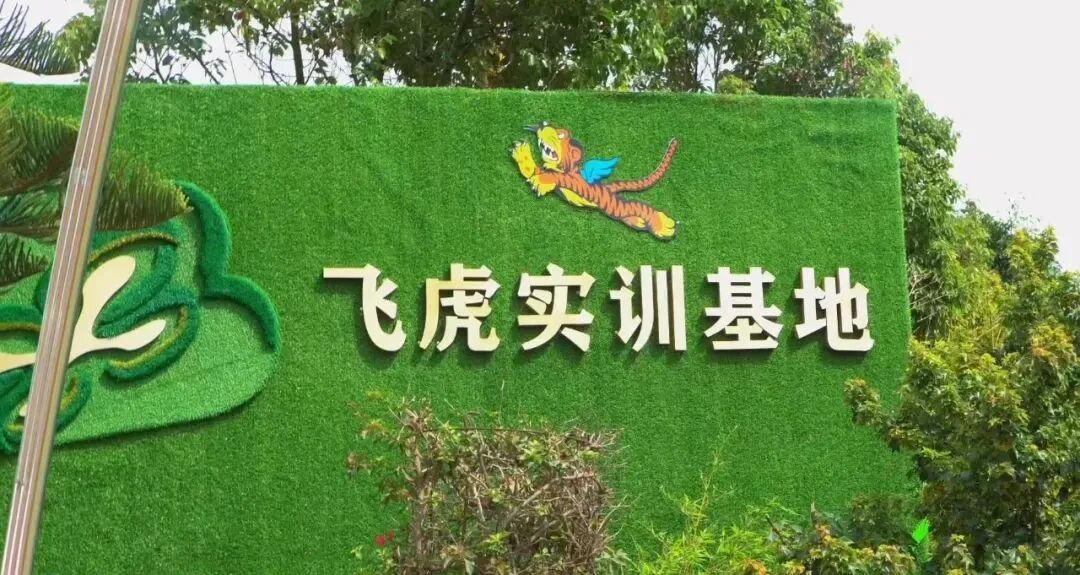 feihu飞虎实训基地.jpg