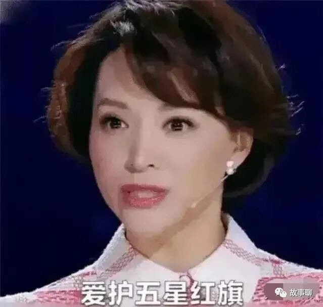 媒体：你为啥要让儿子加入美国国籍？董卿：为了接受更良好的教育