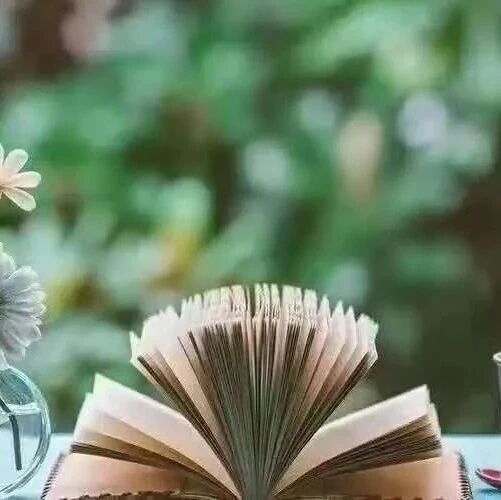 【青春语文•刘菊芬悦读体验】书迷•书意•书气