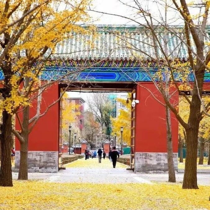 【青春语文•杨青文本解读2】经由地坛，探究史铁生的精神跨越史