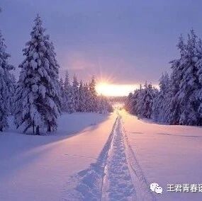 【青春语文▪冯翠红年终盘点】允许自己慢慢地稳稳地走