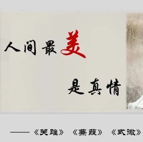 【青春语文·孙秋备整合教学研究】人间最美是真情——《诗经》四首整合教学设计