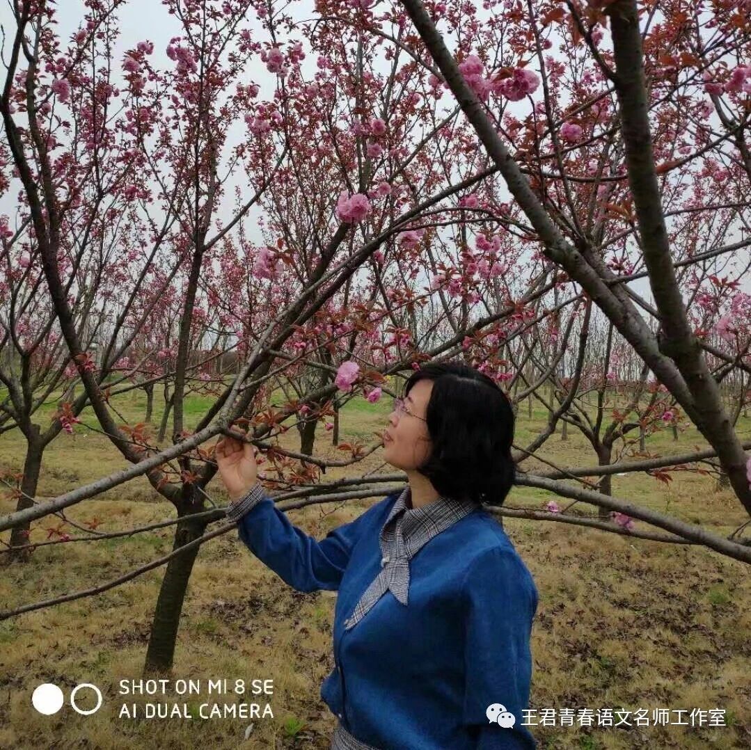 【青春语文• 张娟课堂实践】 忧国忧民肠内热 ——《茅屋为秋风所破歌》课堂设计