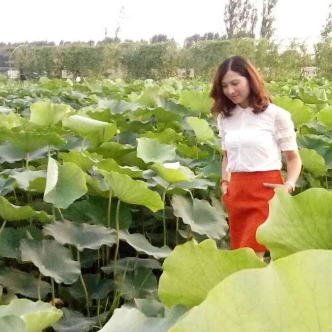 【青春语文·夏海芹跟着名师学教书实践研究（三）】王君老师“空白还原修补法”研究