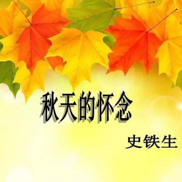 【青春语文•海波课堂有效教学案例研究•三十五】如果那爱还活着