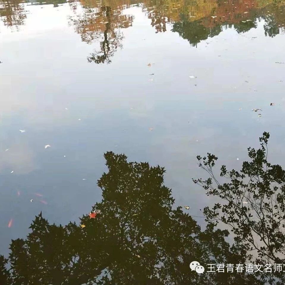 【青春语文·孙秋备课内整合教学研究19】大开大合，创大美之境--王君老师《大美为美》群诗教学课例鉴赏