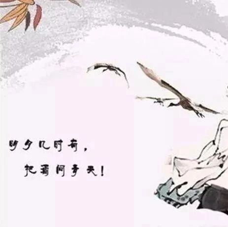 【青春语文˙同质同人群诗研究（24）】千古一爱苏东坡——苏轼群诗阅读教学课堂实录