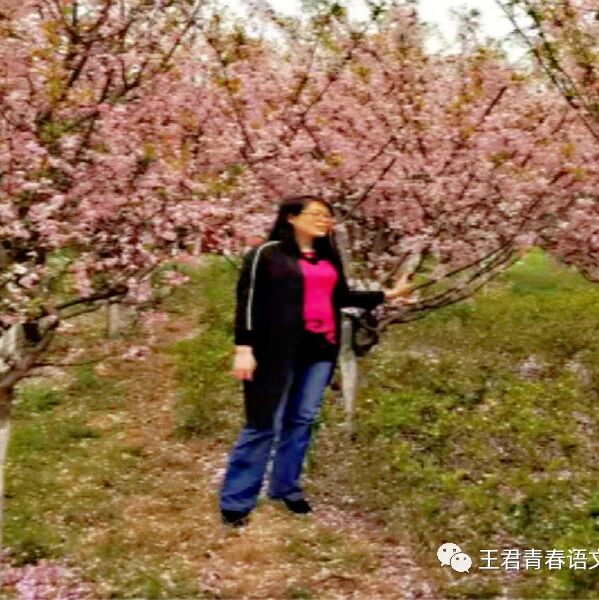 【青春语文.郑丹文本解读之二】《刘姥姥进大观园》的“笑”与“不笑”