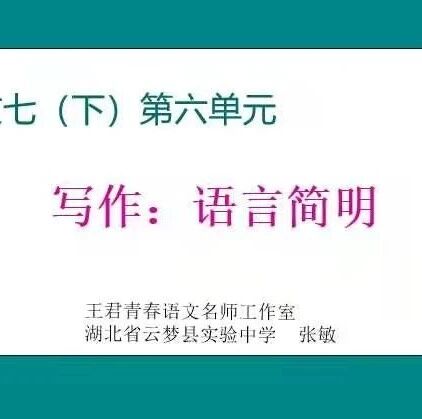【青春语文·张敏课例研究68】言简意赅，是一种才华