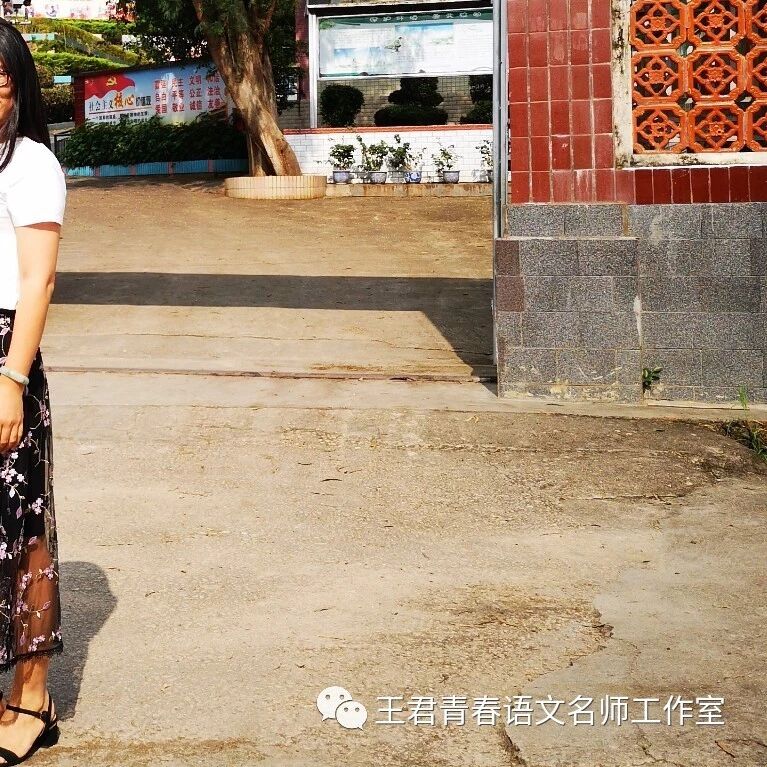 【青春语文•金辉“青春语文学习笔记”之八】关于写作型文本教学的几点思考
