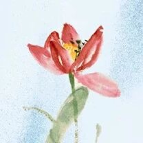 【青春语文•淑亚专栏】发现比喻的妙秘，领略诗歌的魅力