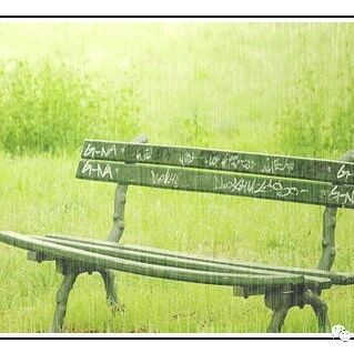 【青春语文·罗云斌课堂实录之十四】一场雨：一串探寻“自由”的密码——《下雨天，真好》》