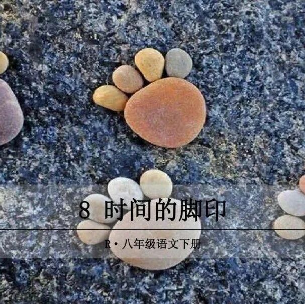 【青春语文】郑丹 课堂因智而精彩——品谢申老师执教的《时间的脚印》