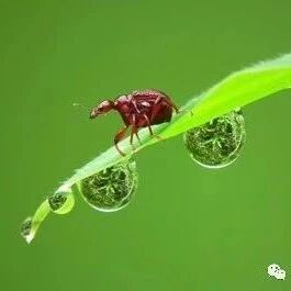 陈海亮《西游记》个性化阅读设计