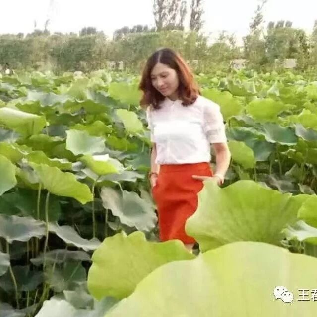 青春语文·【夏海芹跟着名师学教书实践研究（十三）】 《卖油翁》教学设计