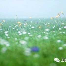 【青春语文·卢望军传统文化与现代文本的整合研究（二）】少年情怀总是诗--《少年闰土》课堂实录