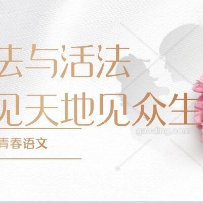 【青春语文  刘国兰专栏】从阅读教学实践看教学力的提升