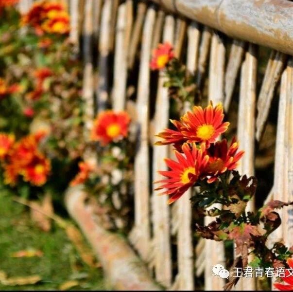 【刘学 统编教材小学习作教学研究4】 围绕一个意思，写清一段话 ——交流平台与词句段运用整合教学设计