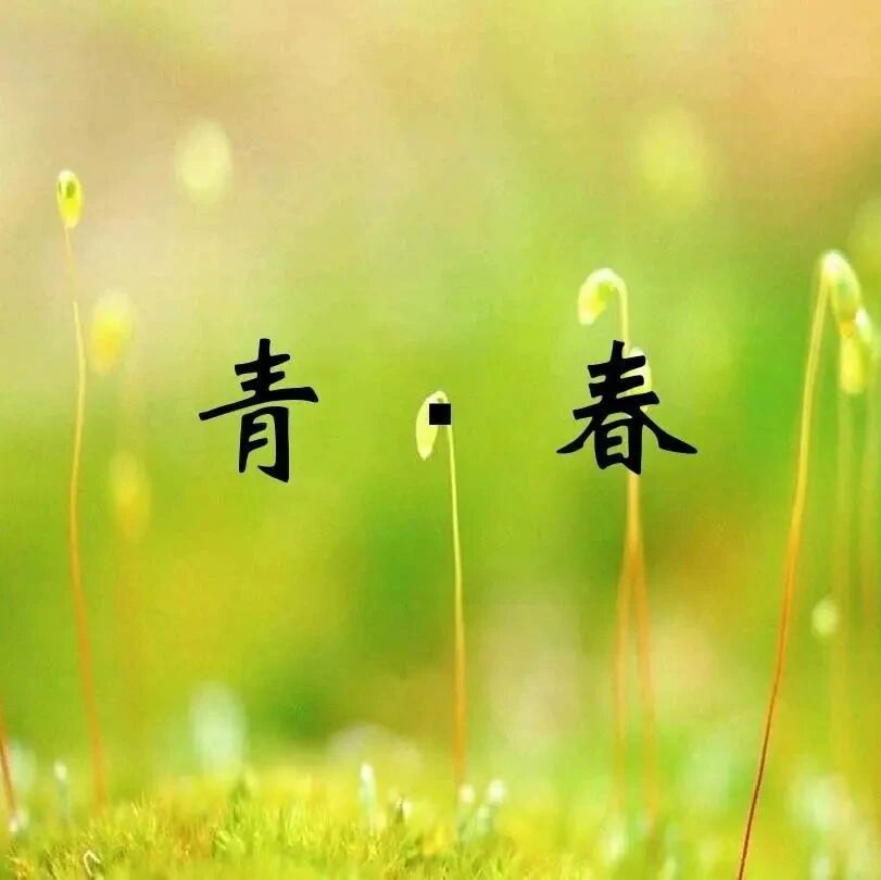 【青春语文 · 姣田专栏】你好，好奇心 —— 读《王君与青春语文》有感