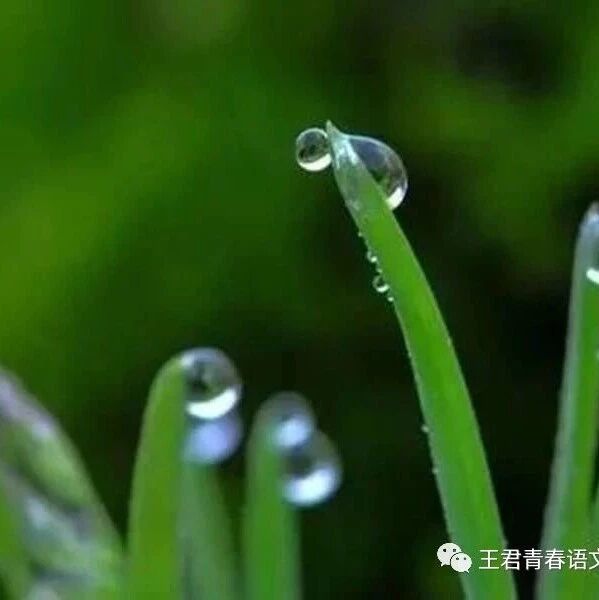 【青春语文·张绪凤教学聚焦研究】“聚焦—整合”式阅读教学的应然之义