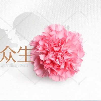 【青春语文▪欧阳艳教学案例与名著阅读设计（六）】驱动精彩，点亮课堂  ——崔淑君与欧阳艳《伟大的悲剧》创新课推介