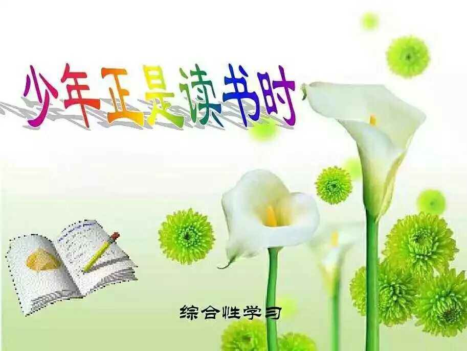 【青春语文 吴凤云整本书阅读研究十二】少年正是读书时教学设计