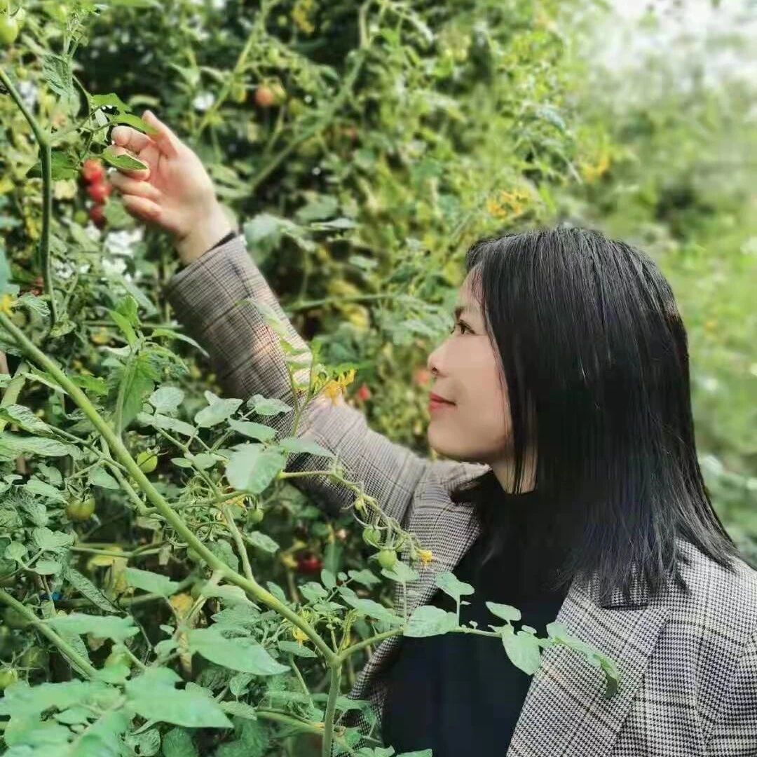 【青春语文·刘瑛专栏】赴一场秋醉，不负青春不负己