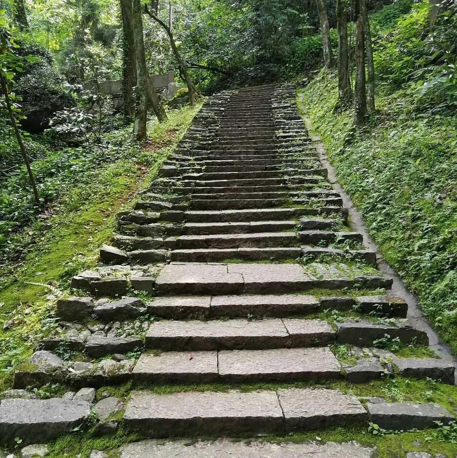 【青春语文•荣蕾专栏】从台阶意象的多重意义说开去——《台阶》教学后感想
