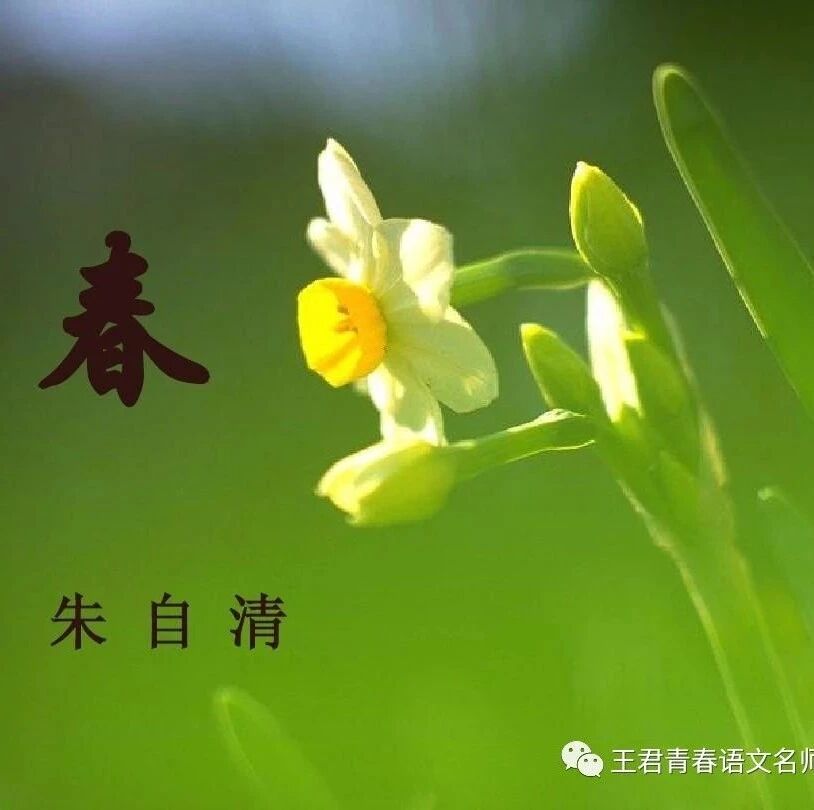 【青春语文˙任米荣教学研究之二】赏春三部曲——《春》课堂实录