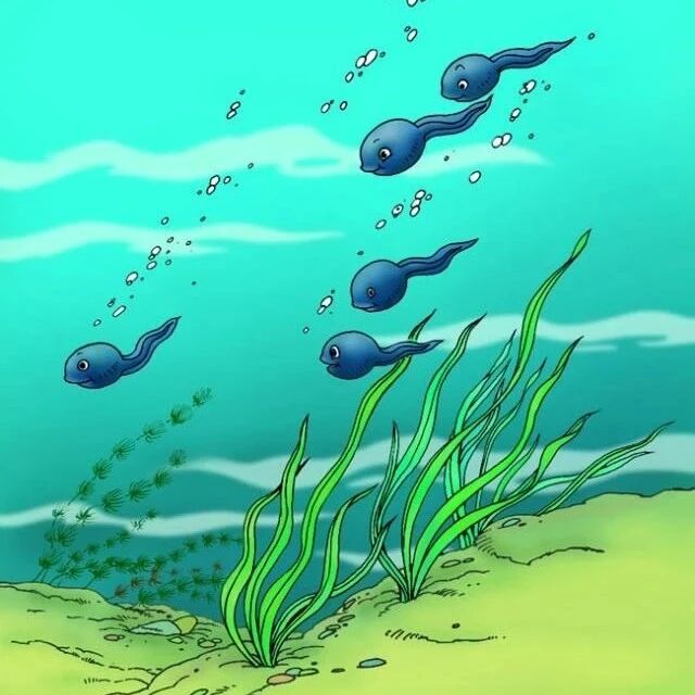【青春语文·王巧露教学研究】欢迎你们来做客