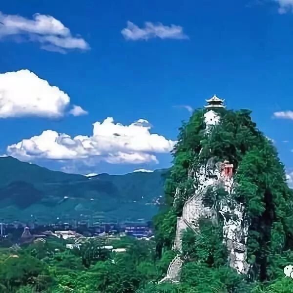 【青春语文·陈晓东一语立骨研究 （19）】课堂高效立骨始——浅谈“一字立骨法”在语文教学中的应用