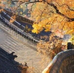 【青春语文•杨青文本解读（1）】《故都的秋》内容解读