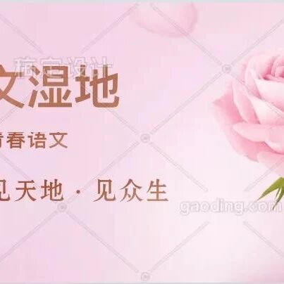 【王君青春语文专栏】写好应用文，不做“写作低保户”