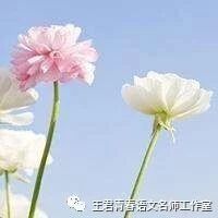 巧抓动词析形象，佳作片段出成效 ——评曹静老师的《跟<台阶>学习动词传神》