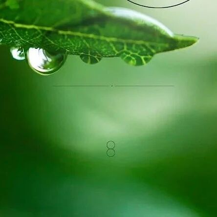 【青春语文·孙秋备整合教学研究】一蓑烟雨任平生——《卜算子·黄州定慧院寓居作》《卜算子·咏梅》整合教学设计