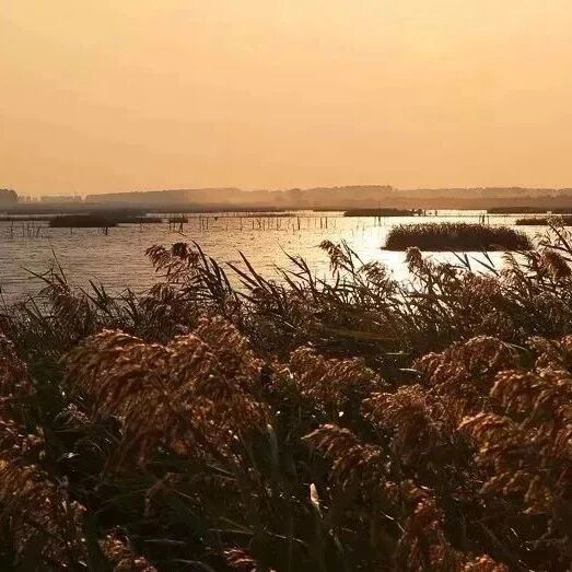 【青春语文·季现辉比较阅读研究】《孤独之旅》教学设计