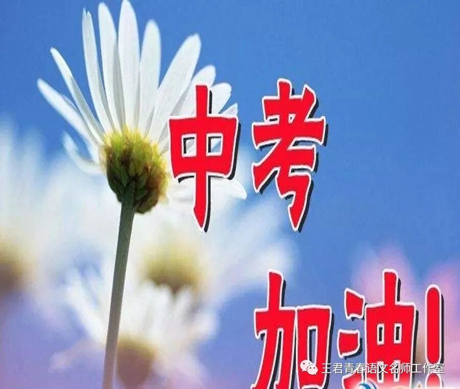 【青春语文 吴凤云整本书阅读二十四】中考名著复习四部曲