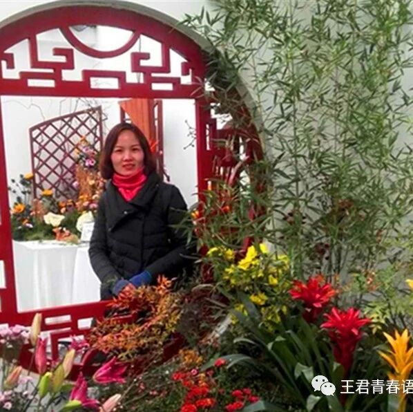 【青春语文·孙秋备课内整合教学研究22】跳板型文本教学：为广阔的阅读“植树”