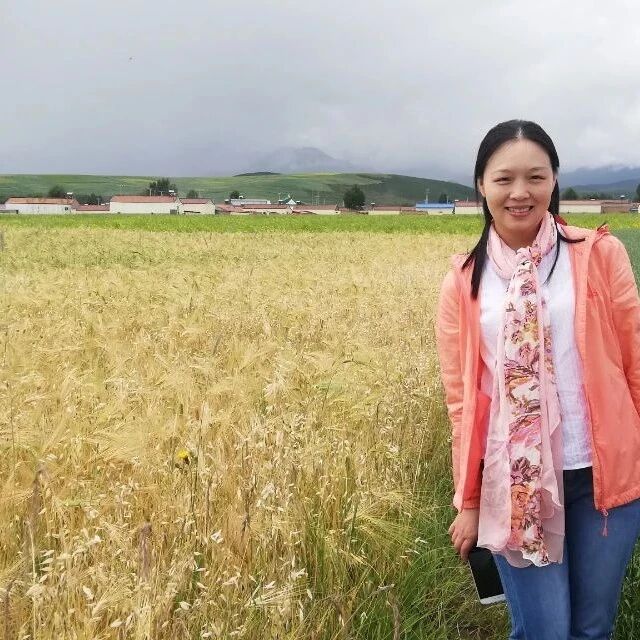 [青春语文• 陈荔 综合性学习教学研究五]《综合性学习——我的语文生活》综合实践活动