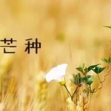 【青春语文•海波读书】因为有美，我们的眼睛闪闪发光