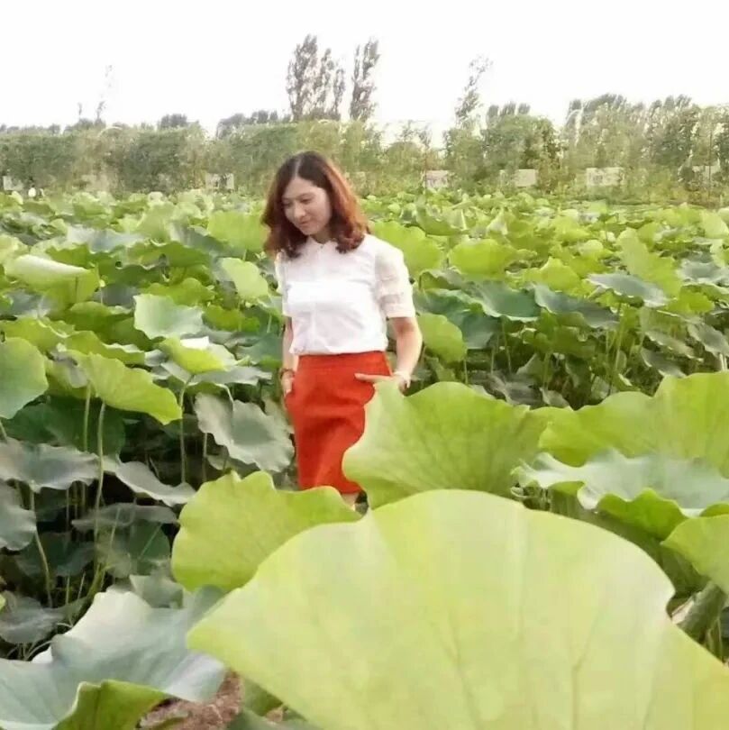 【青春语文·海芹专栏】《骆驼祥子》专题课