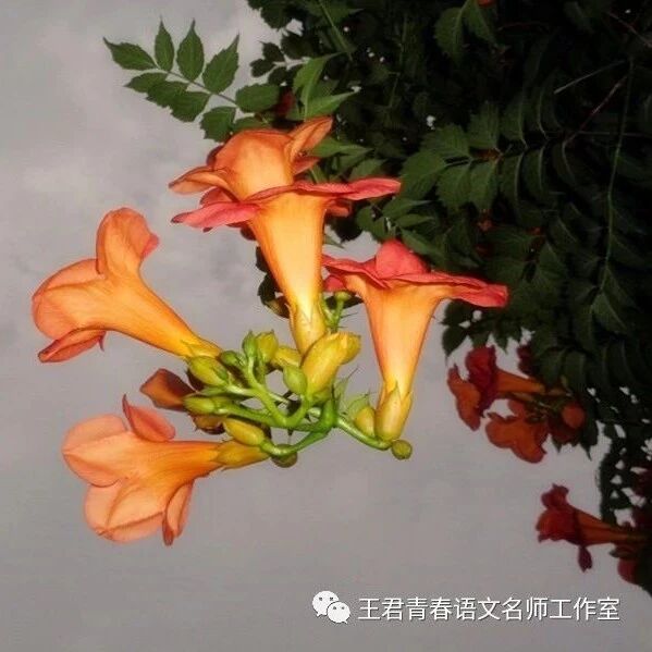 【青春语文•忠冕同质群诗阅读】《念奴娇•赤壁怀古》《永遇乐•京口北固亭怀古》教学实录