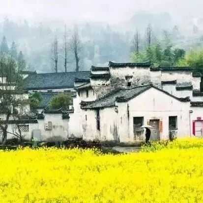 【青春语文·葛小霞“照片故事”写作研究（三）】我看、我想、我思——《发挥联想和想象》课堂实录