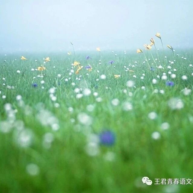 【青春语文 · 谢德志 文本解读与教学设计】《钱塘湖春行》教学设计